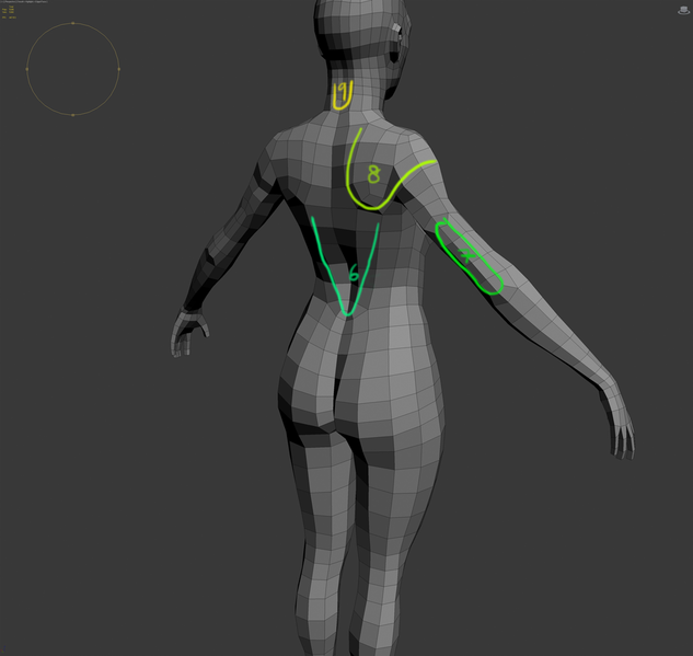 File:Basemesh loops 3.png