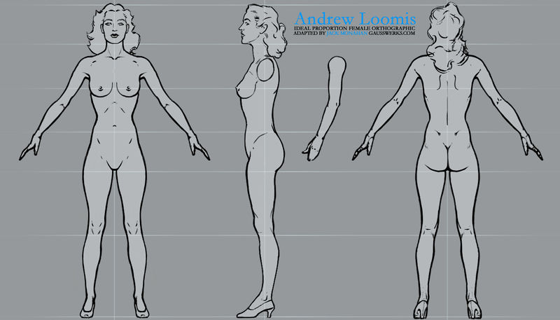 File:Loomis orthofemale.jpg