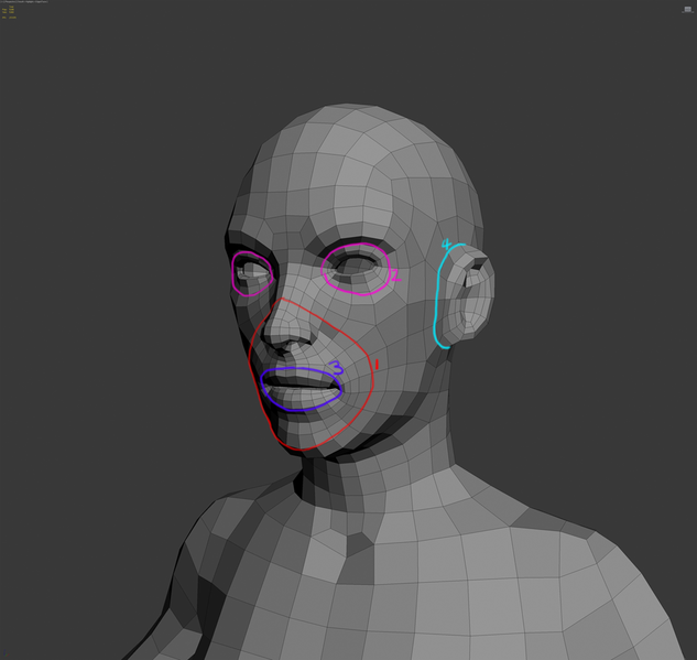 File:Basemesh loops 1.png